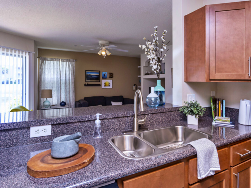 This image shows the premium apartment features, specifically the kitchen area with a high-quality kitchen bar or Island kitchen and shining granite counterpoint details.
