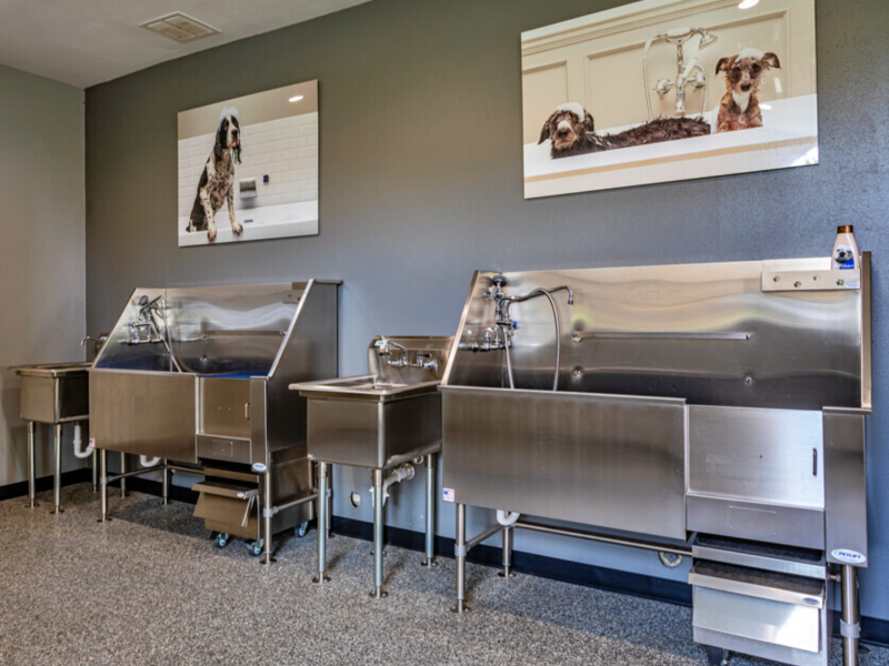 This picture shows a Pet Spa for better hygiene and the smell of your pet.